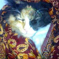 Uroosa Rasheed Photo 2