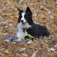 Katie Sutton Photo 20