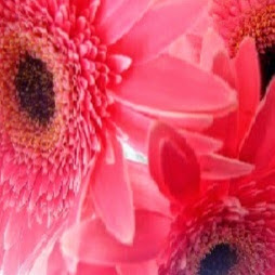 Sandy Curtis Photo 19