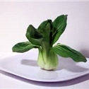 Bok Choi Photo 12