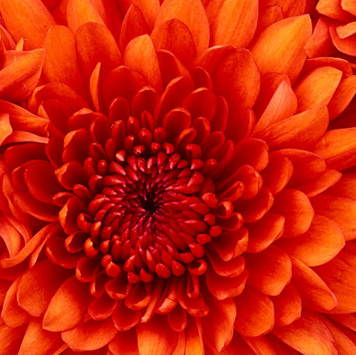 Andrea Palmer Photo 14