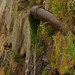Elizabeth Pipes Photo 11