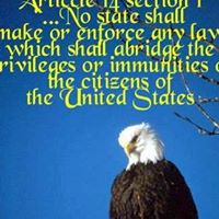 Jesse Shepard Photo 16