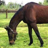 Kim Ferguson Photo 15 Kim Ferguson Photo 15