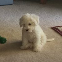 Bruce Gilmour Photo 9