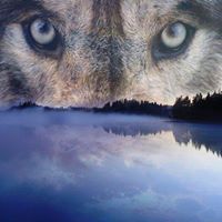 Karen Isham Photo 6