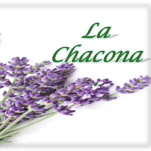 Carmen Manzanares Photo 4