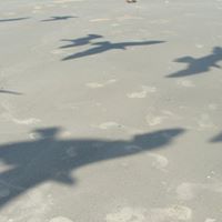 Michael Schuette Photo 10
