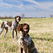 Otis Wiley Photo 6
