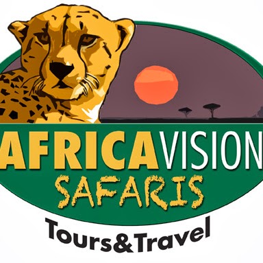 Nicholas Matteo Photo 9