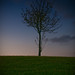 Ray Loveless Photo 19