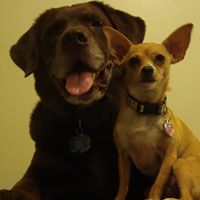 Karl Taylor Photo 32