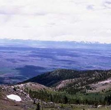 Elizabeth Vang Photo 8
