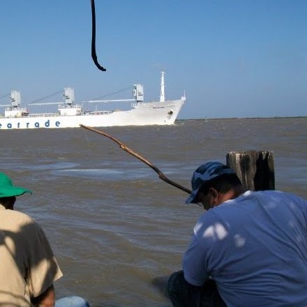 Harold Bonilla Photo 6