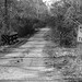 Virginia Ayres Photo 10