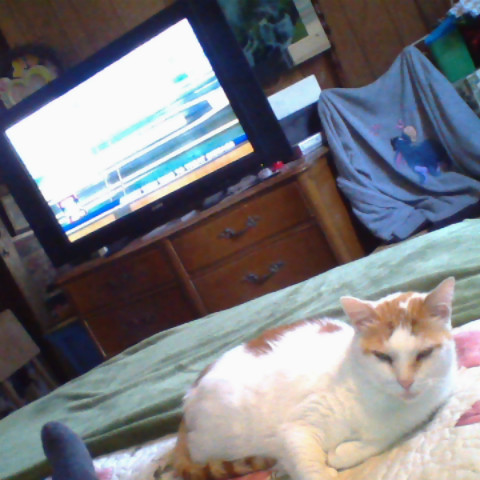 Cindy Shelton Photo 39