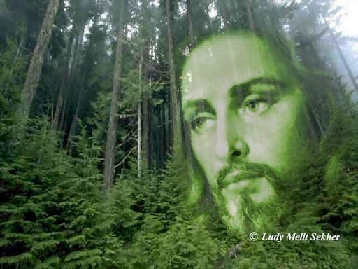 Rigoberto Gomez Photo 16