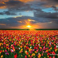 Bridget Brown Photo 14