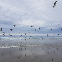 Jerry Stark Photo 30