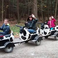 Sherry Carey Photo 15