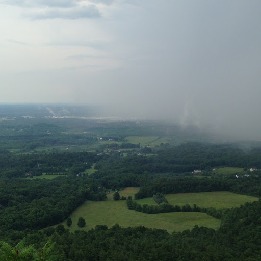 William Grant Photo 28