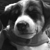 Erica Rodgers Photo 47