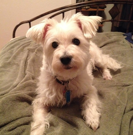 Pamela Hamilton Photo 28