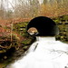 Dan Maclaughlin Photo 3
