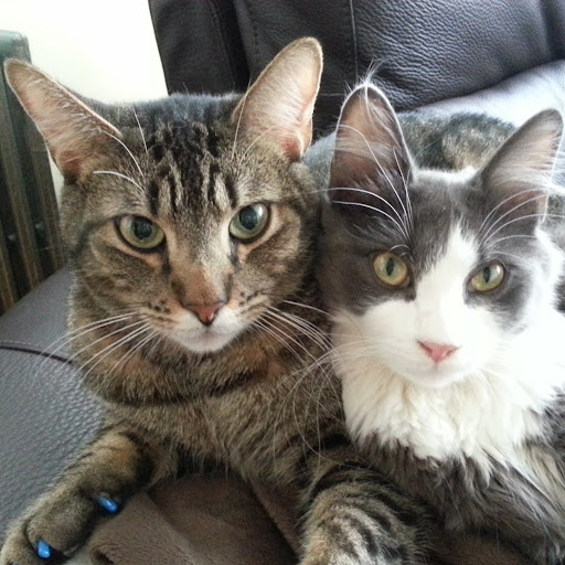 Michelle Redmond Photo 21