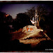 Clyde Turner Photo 19