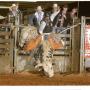 John Reece Photo 21