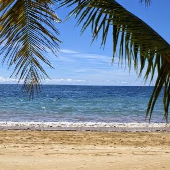 Sandra Bauer Photo 42