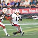 Ashton Johnson Photo 21