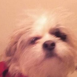 Barbara Atkinson Photo 4