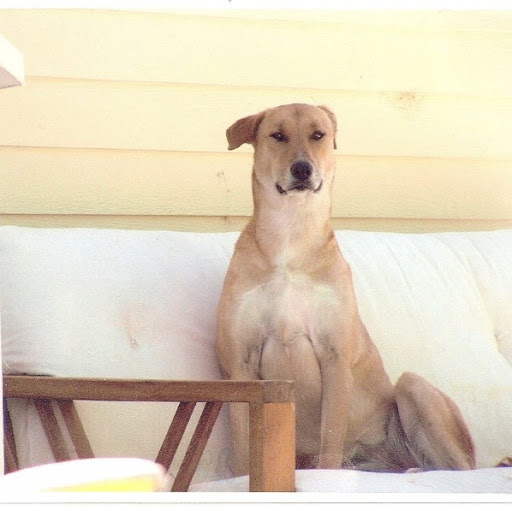 Peter Crowell Photo 10