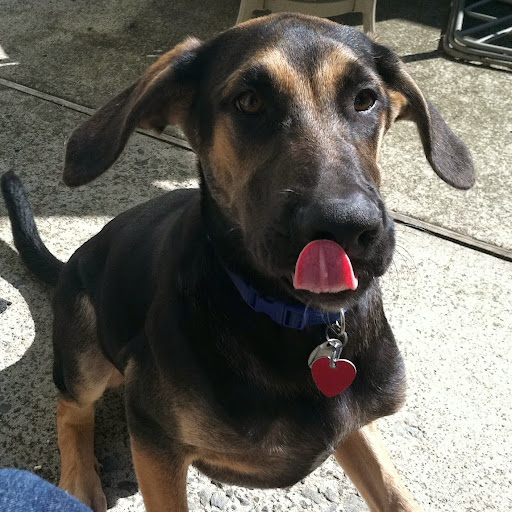 Patricia Ryan Photo 33 Patricia Ryan Photo 33