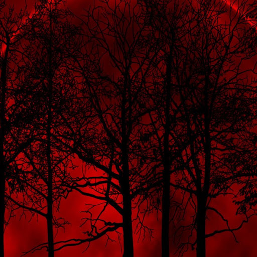 Daniel Burch Photo 14