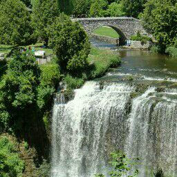 Sandra Buckley Photo 18