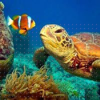 Amy Wickham Photo 36