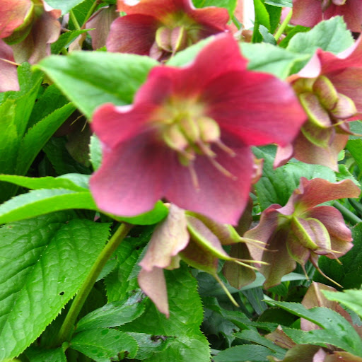 Karen Crozier Photo 27