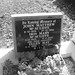 Ellen Mcauliffe Photo 19