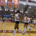 Amber Webster Photo 15
