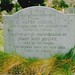 Ann Squires Photo 12