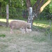 Shaun May Photo 6