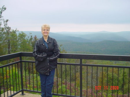 Mary Harrell Photo 4