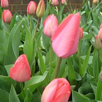 Julia Ritchey Photo 16