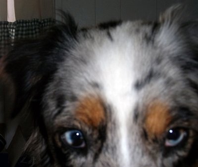 Nancy Cheney Photo 16