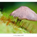 David Stover Photo 20
