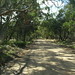 Frances Robertson Photo 18