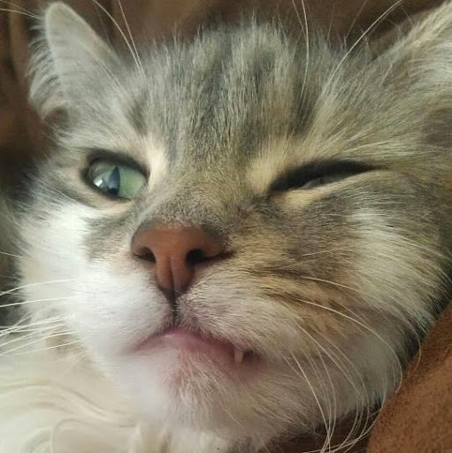 Cody Weaver Photo 32